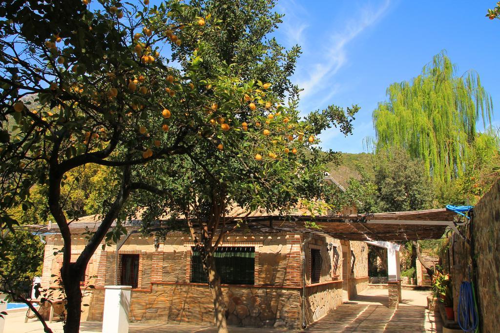 La Fuente De El Nacimiento Vendégház Benamahoma Kültér fotó